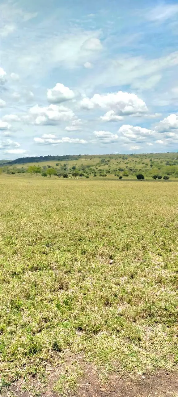 70 Acres in Kitengela, Acacia